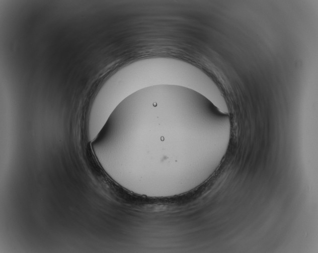 X0000086750356200705111700