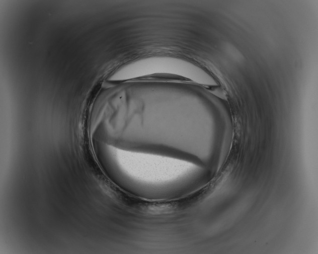 X0000086750357200705111700