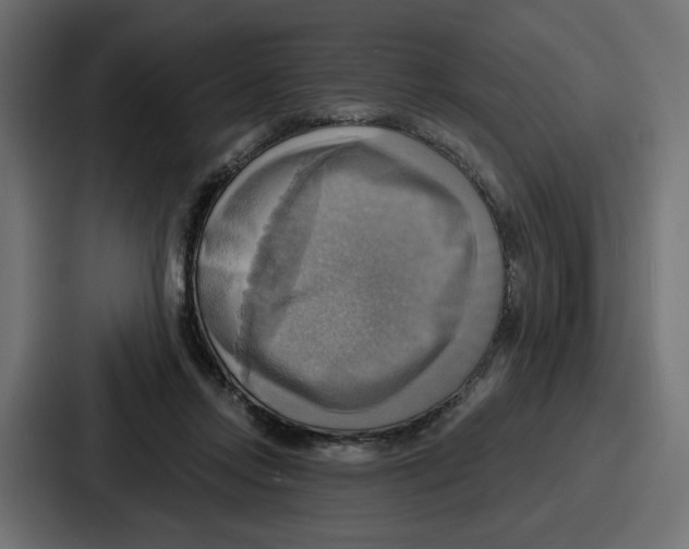 X0000086750358200705111700