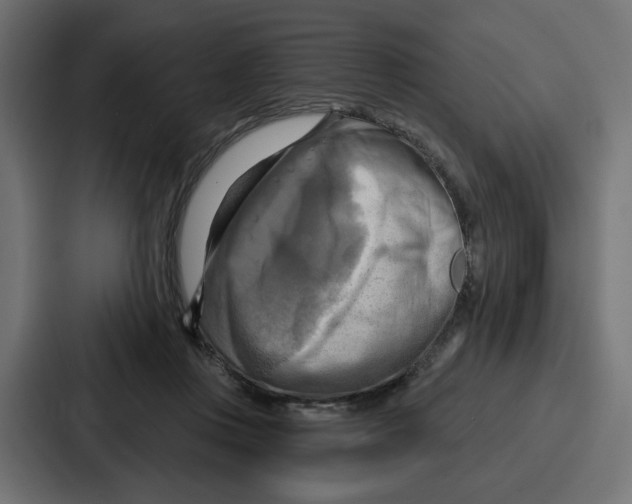X0000086750359200705111700