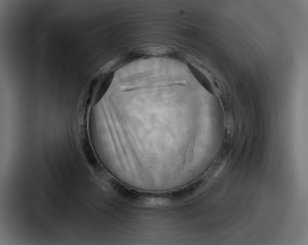 X0000086750360200705111700