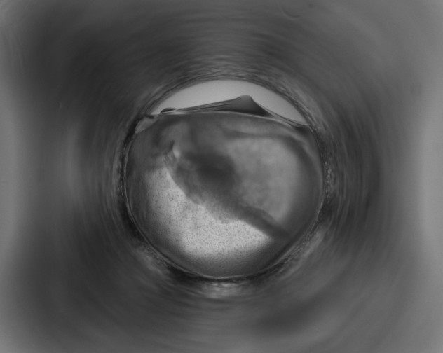 X0000086750361200705111700