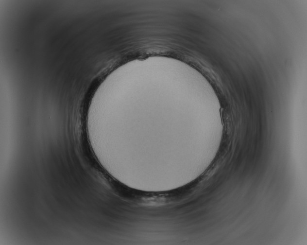 X0000086750362200705111700