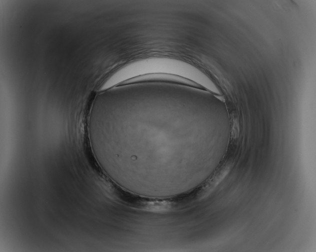 X0000086750363200705111700
