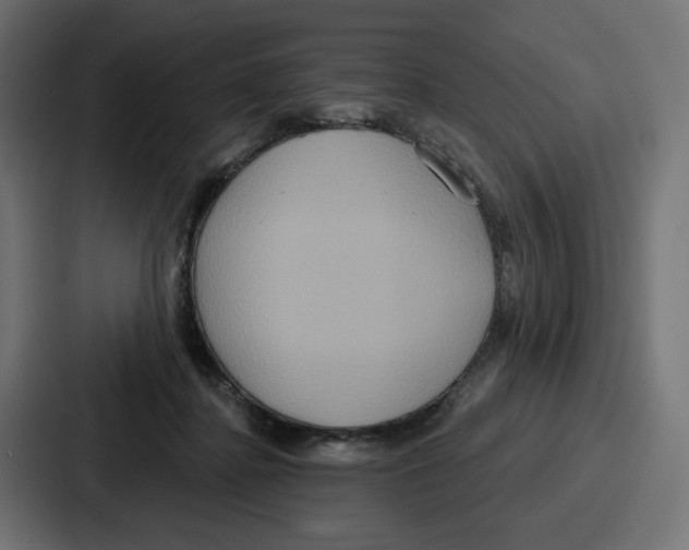 X0000086750364200705111700