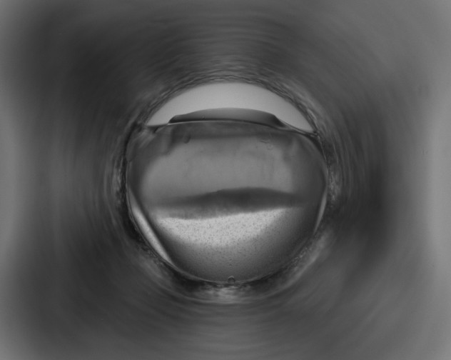 X0000086750365200705111700