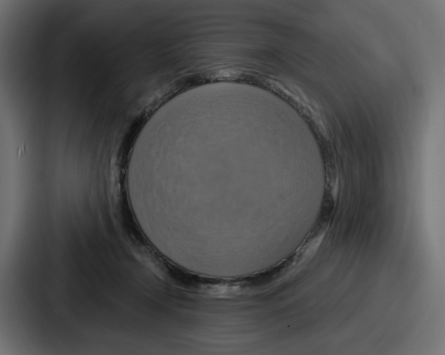 X0000086750366200705111700