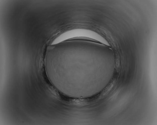 X0000086750367200705111700