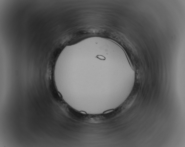 X0000086750368200705111700