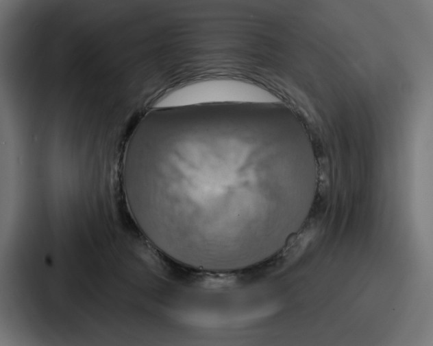 X0000086750369200705111700