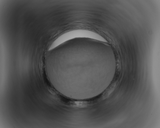 X0000086750371200705111700