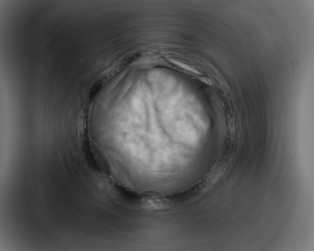 X0000086750372200705111700