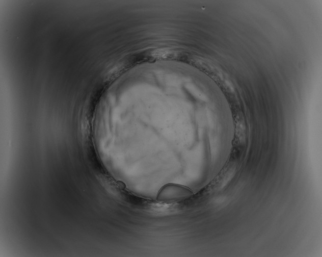 X0000086750375200705111700