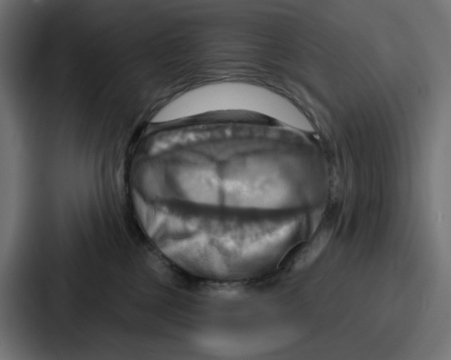 X0000086750377200705111700