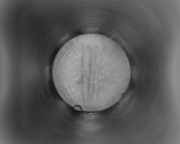 X0000086750378200705111700