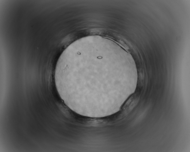 X0000086750379200705111700