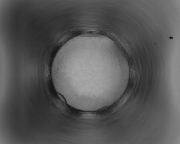 X0000086750380200705111700
