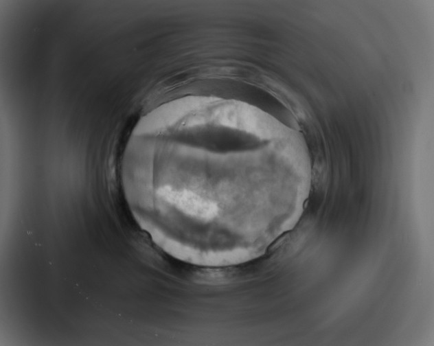 X0000086750381200705111700