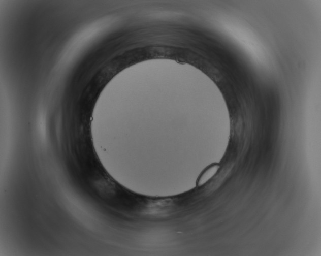 X0000086750382200705111700