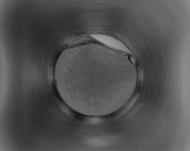 X0000086750383200705111700