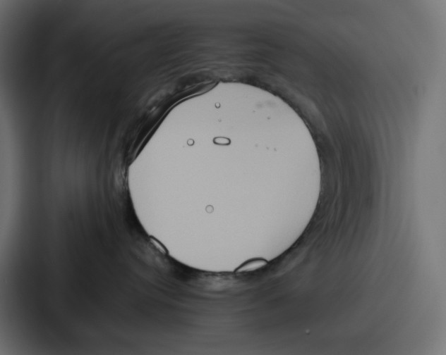 X0000086750384200705111700