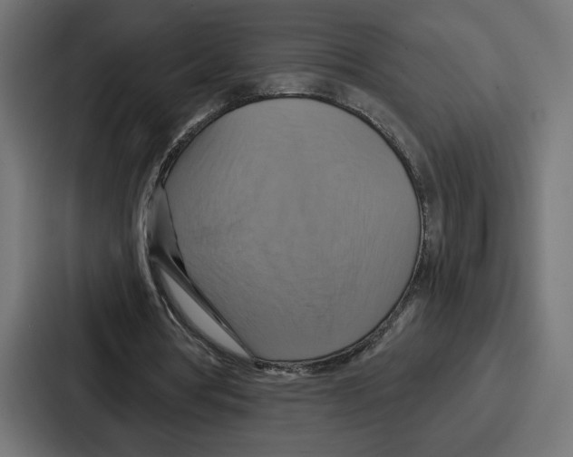X0000086750386200705111659