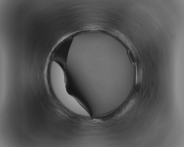 X0000086750387200705111659
