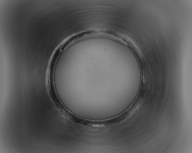 X0000086750388200705111659