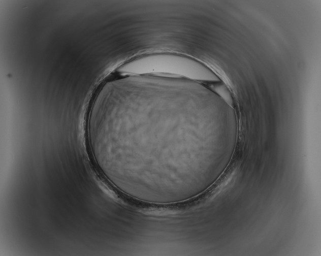 X0000086750389200705111659