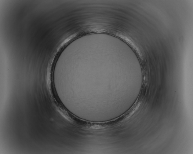 X0000086750390200705111659