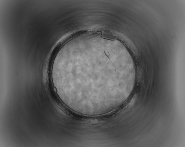 X0000086750392200705111659