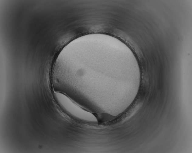 X0000086750393200705111659