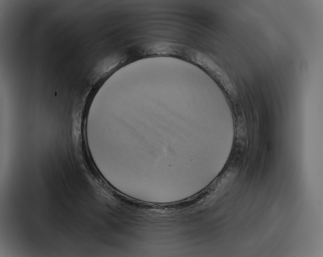X0000086750394200705111659