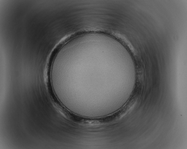 X0000086750395200705111659