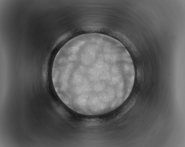 X0000086750396200705111659