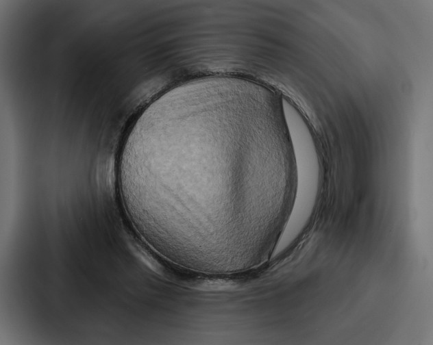 X0000086750397200705111659