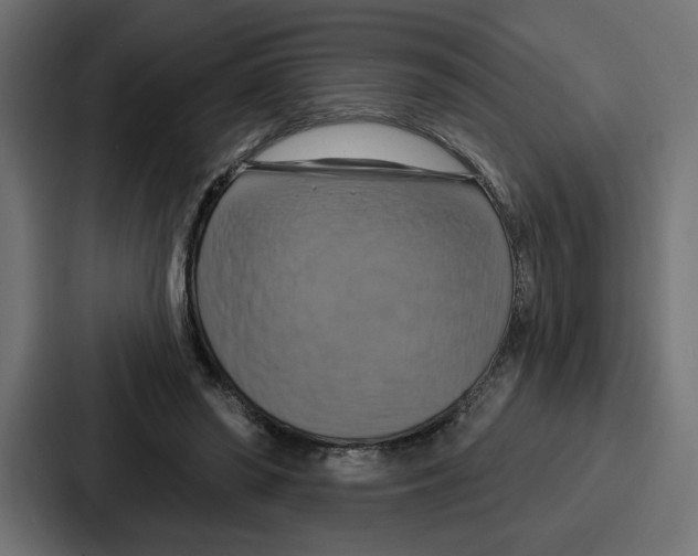 X0000086750398200705111659