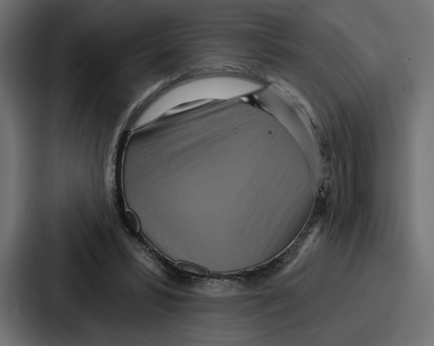 X0000086750399200705111659
