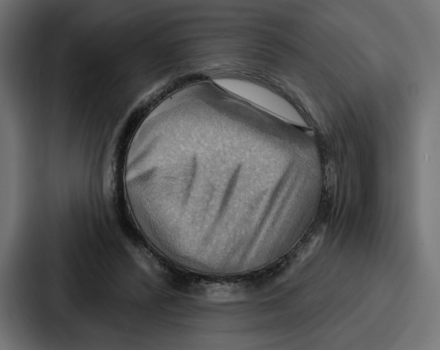 X0000086750400200705111659