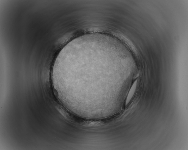 X0000086750401200705111659