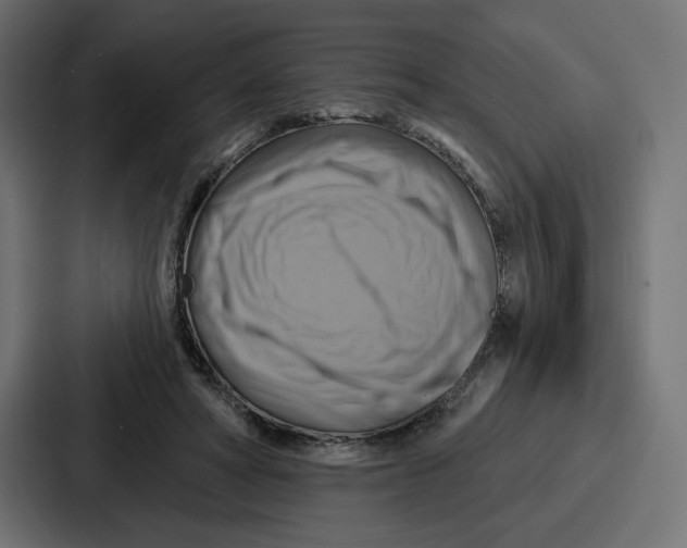 X0000086750402200705111659
