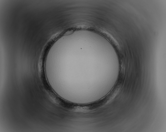 X0000086750403200705111659