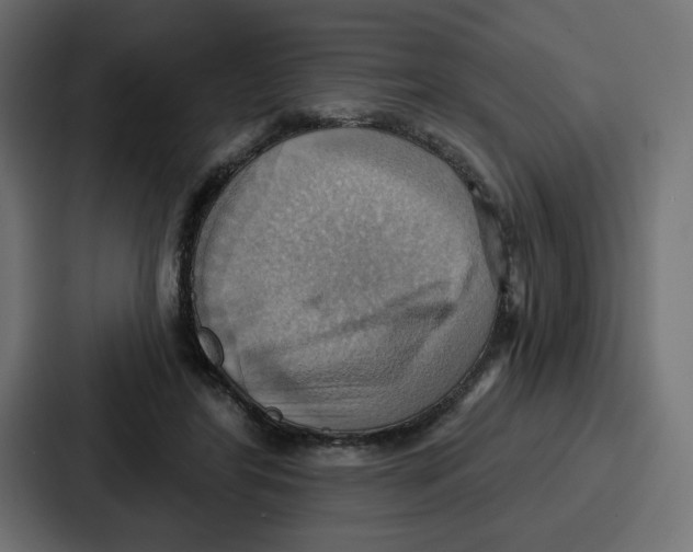 X0000086750404200705111659