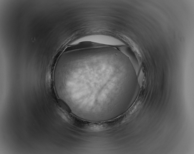 X0000086750405200705111659