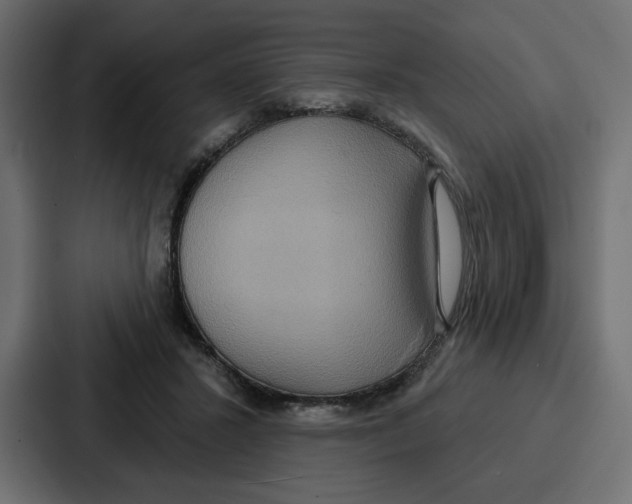 X0000086750407200705111659