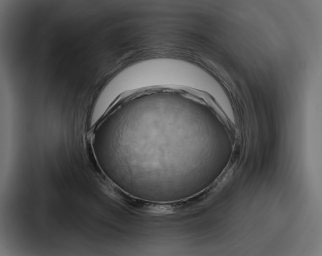 X0000086750409200705111659