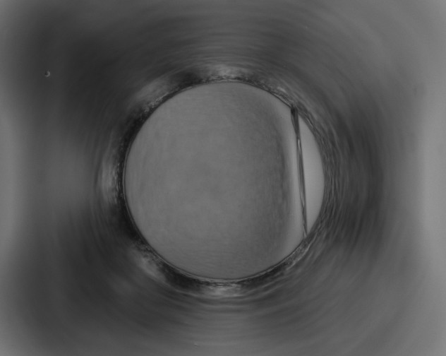 X0000086750410200705111659