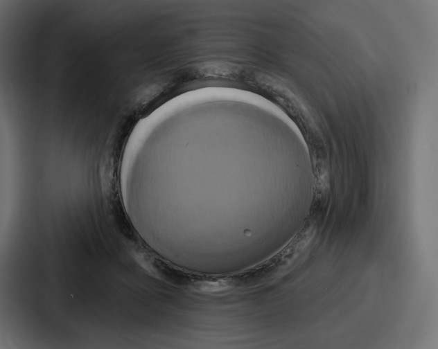 X0000086750411200705111659