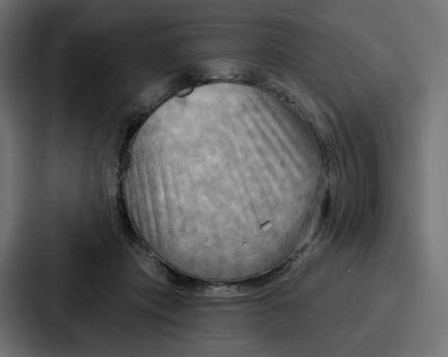 X0000086750413200705111659