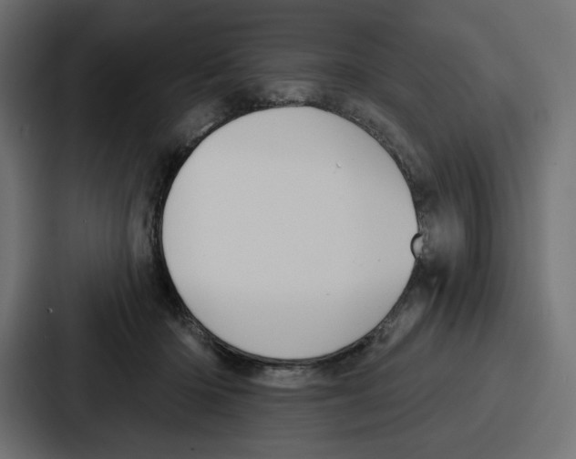 X0000086750414200705111659